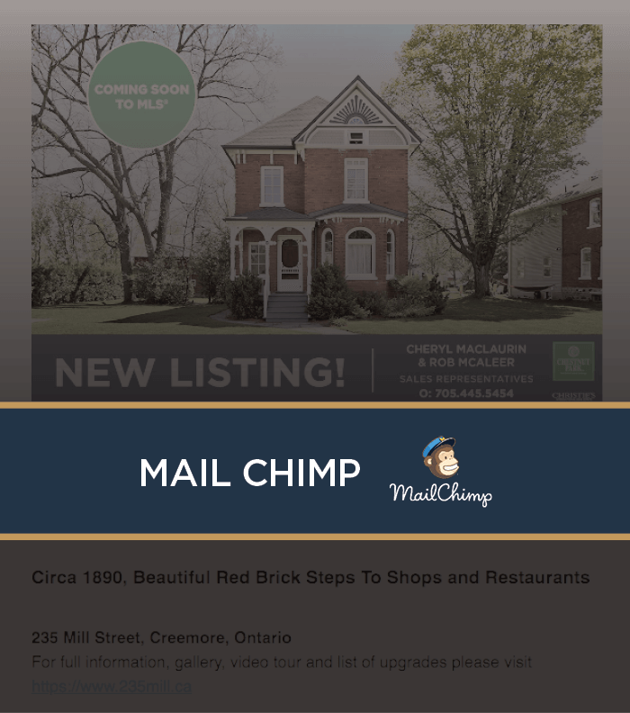 Mail Chimp Newsletters
